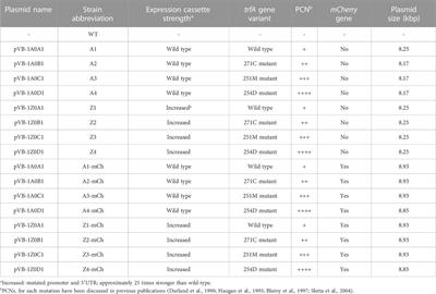 Central carbon metabolite profiling reveals vector-associated differences in the recombinant protein production host Escherichia coli BL21